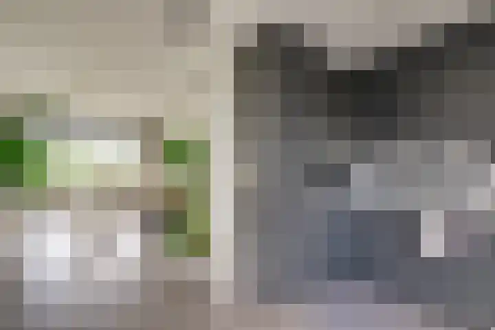 Sweelincklaan 47 Leiden thumbnail 13