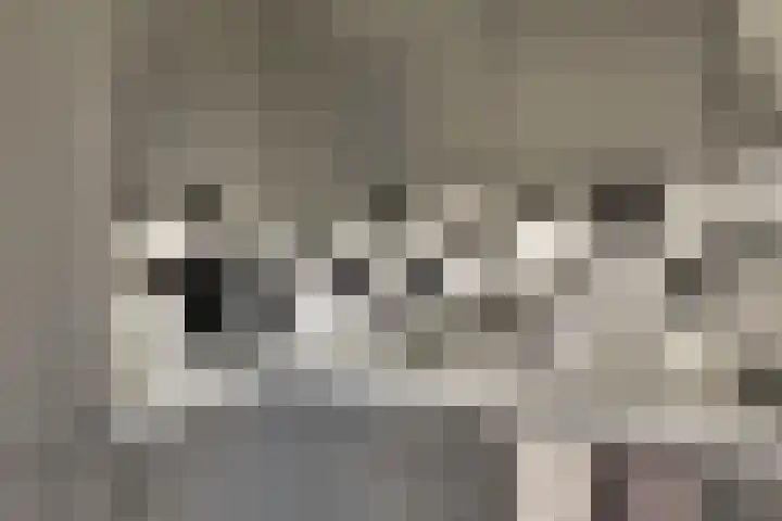 Sweelincklaan 47 Leiden thumbnail 16
