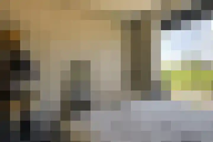 Sweelincklaan 47 Leiden thumbnail 23