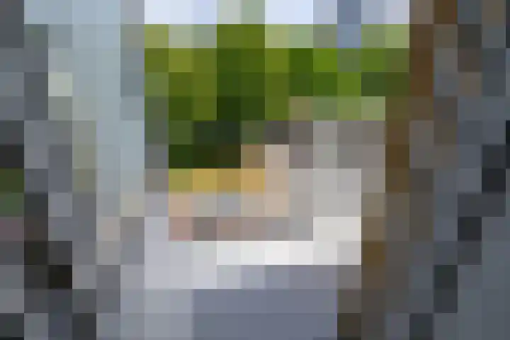 Sweelincklaan 47 Leiden thumbnail 28