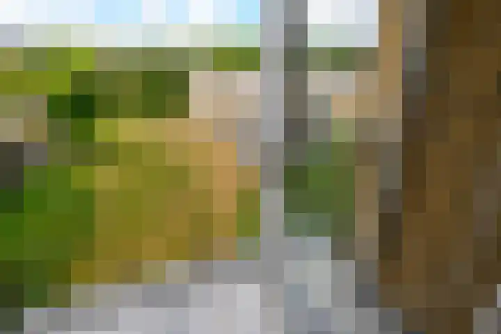 Sweelincklaan 47 Leiden thumbnail 33