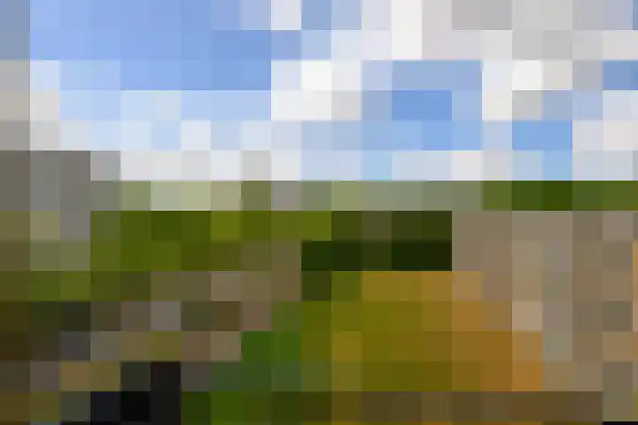 Sweelincklaan 47 Leiden thumbnail 34