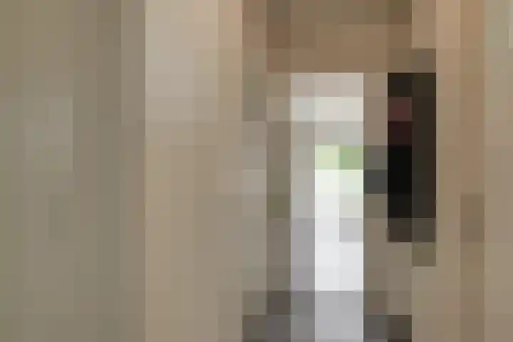 Sweelincklaan 47 Leiden thumbnail 4
