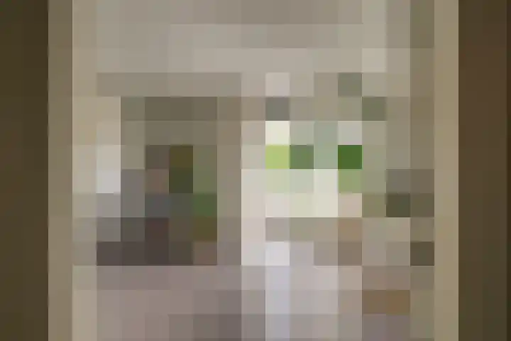 Sweelincklaan 47 Leiden thumbnail 5