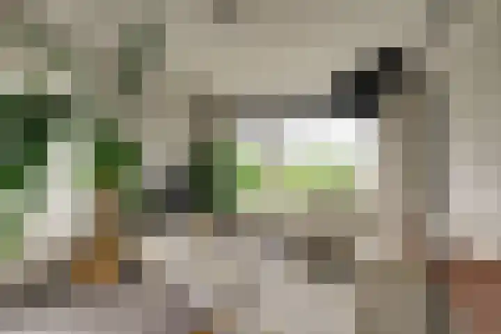 Sweelincklaan 47 Leiden thumbnail 6
