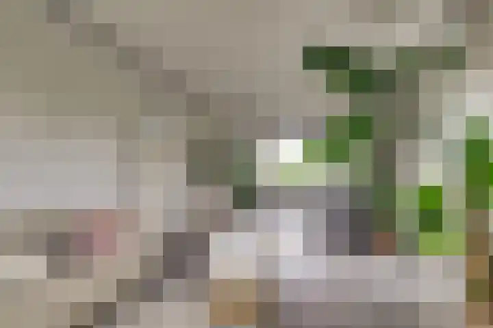 Sweelincklaan 47 Leiden thumbnail 7