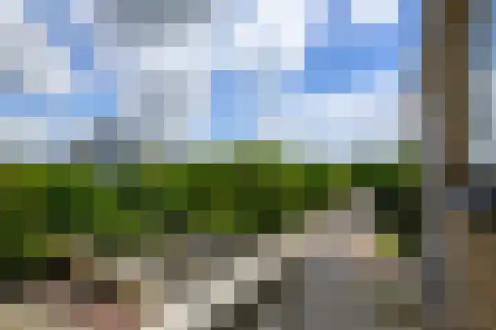 Sweelincklaan 47 Leiden thumbnail 8