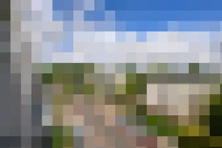 Sweelincklaan 47 Leiden thumbnail 9