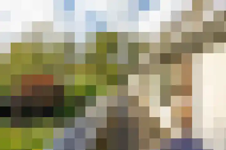 Sweelincklaan 49 Groningen thumbnail 18