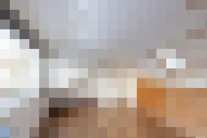 Sweelincklaan 49 Groningen thumbnail 27