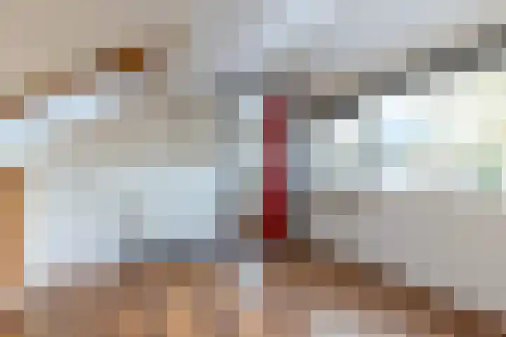 Sweelincklaan 49 Groningen thumbnail 28