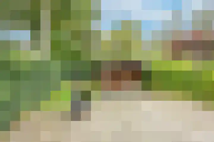 Sweelincklaan 49 Groningen thumbnail 30