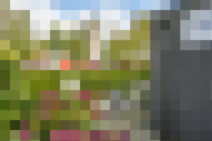 Sweelincklaan 49 Groningen thumbnail 35