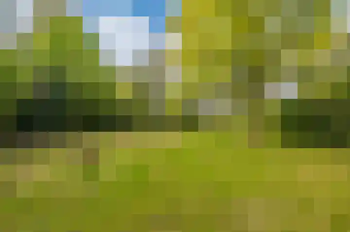 Sweelincklaan 49 Groningen thumbnail 38