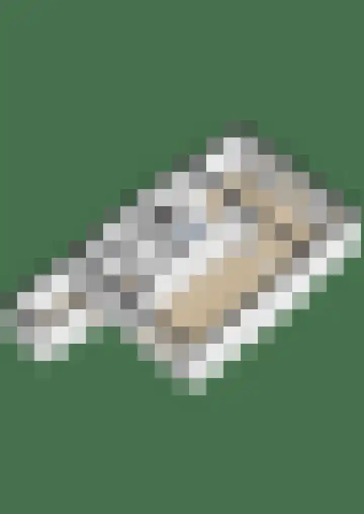 Sweelincklaan 49 Groningen thumbnail 42