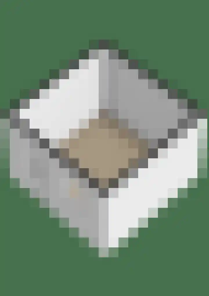 Sweelincklaan 49 Groningen thumbnail 44