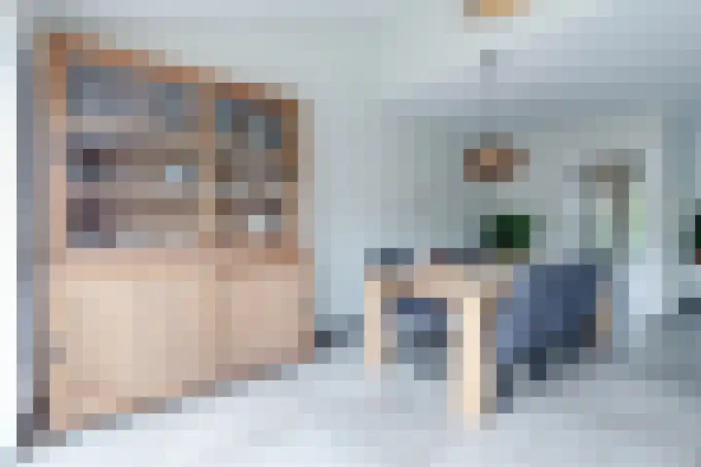 Sweelincklaan 54 Alkmaar thumbnail 11