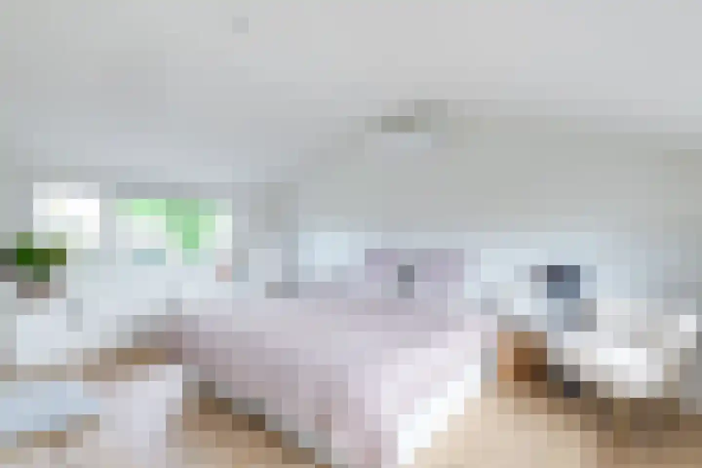 Sweelincklaan 54 Alkmaar thumbnail 43
