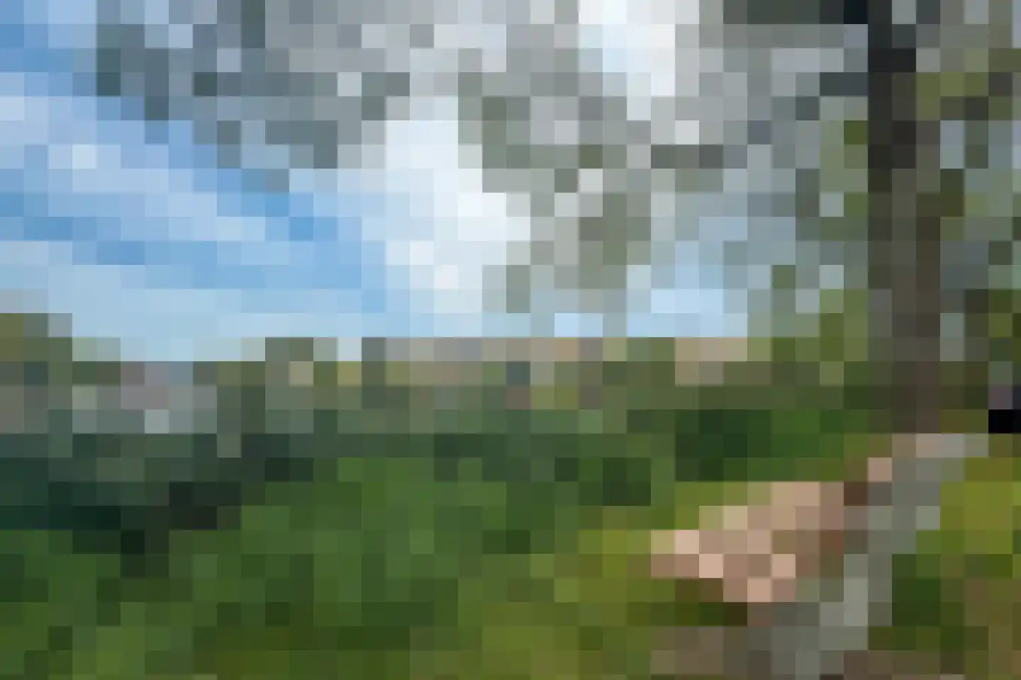 Sweelincklaan 54 Alkmaar thumbnail 55