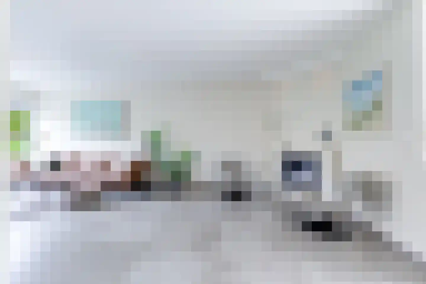 Sweelincklaan 54 Alkmaar thumbnail 8