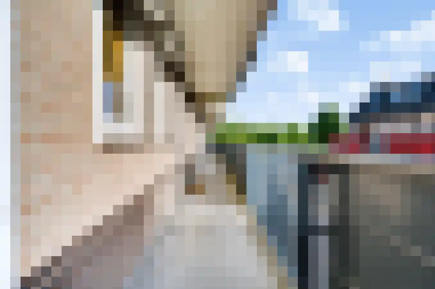 Sweelincklaan 55 Rhoon thumbnail 10