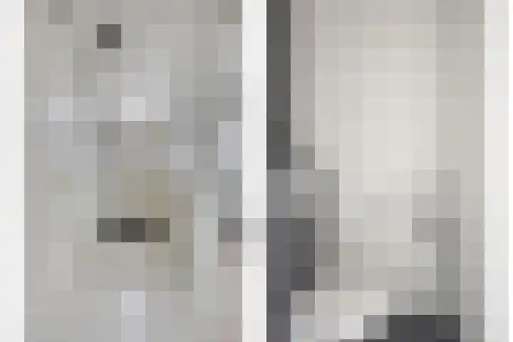 Sweelincklaan 55 Rhoon thumbnail 10