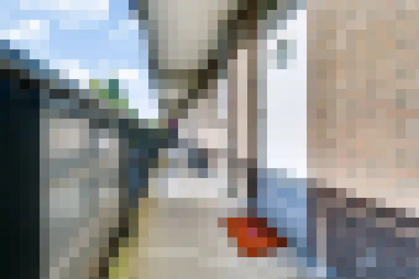 Sweelincklaan 55 Rhoon thumbnail 11