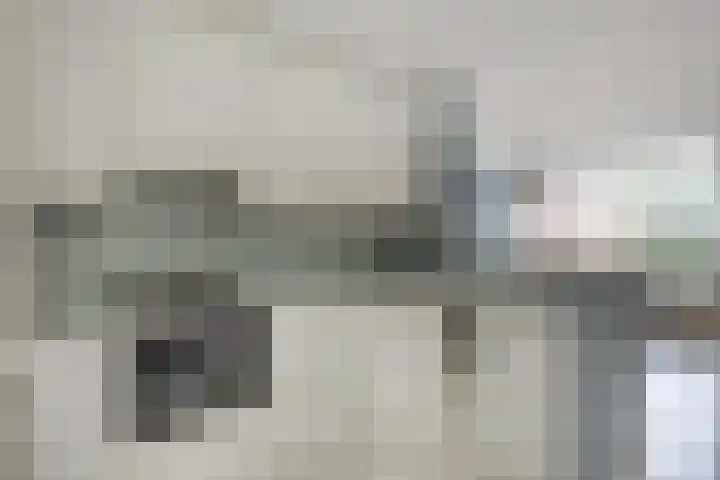 Sweelincklaan 55 Rhoon thumbnail 12