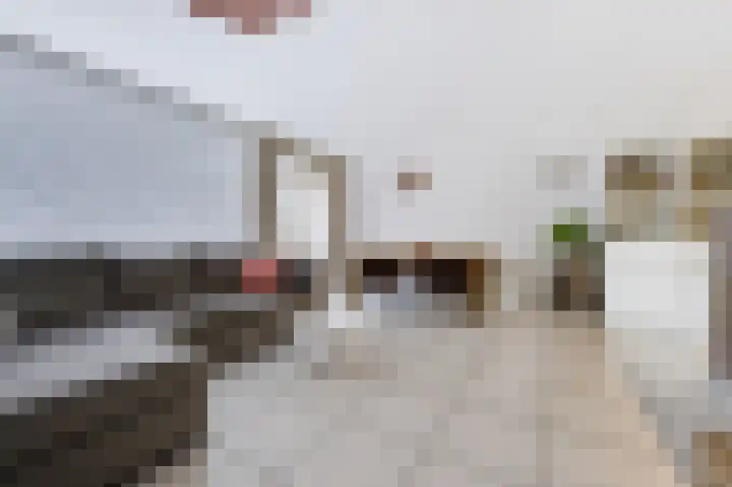 Sweelincklaan 55 Rhoon thumbnail 16