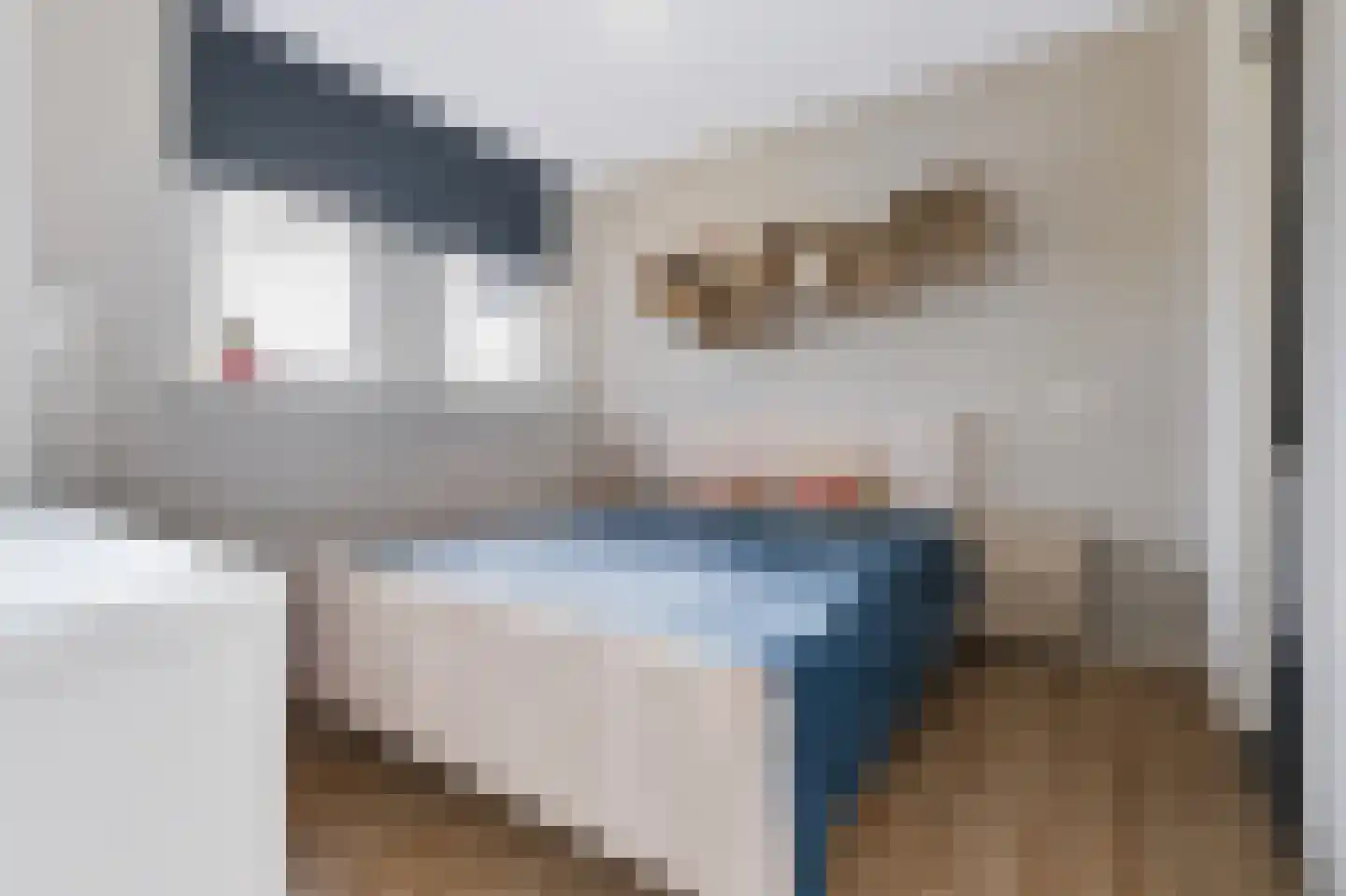 Sweelincklaan 55 Rhoon thumbnail 22