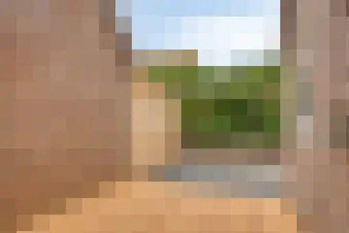 Sweelincklaan 55 Rhoon thumbnail 23