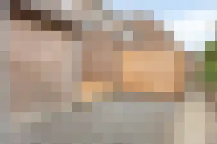 Sweelincklaan 55 Rhoon thumbnail 24