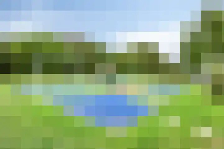 Sweelincklaan 55 Rhoon thumbnail 25