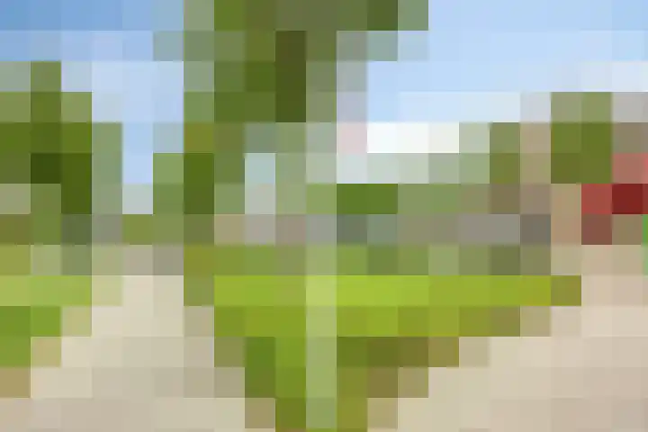 Sweelincklaan 55 Rhoon thumbnail 26