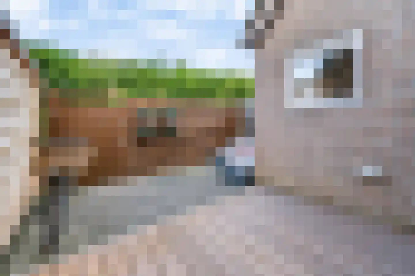 Sweelincklaan 55 Rhoon thumbnail 5