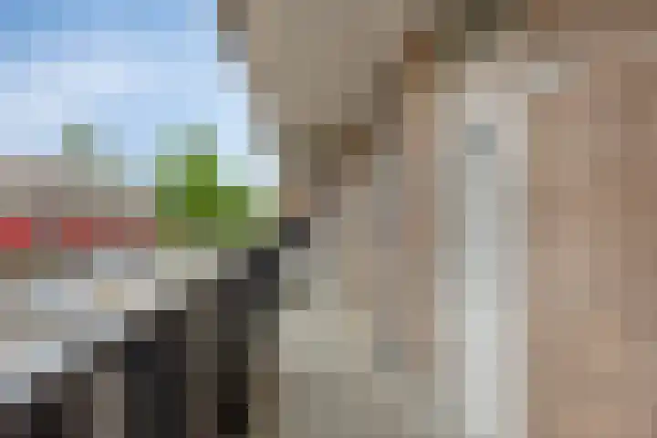Sweelincklaan 55 Rhoon thumbnail 7