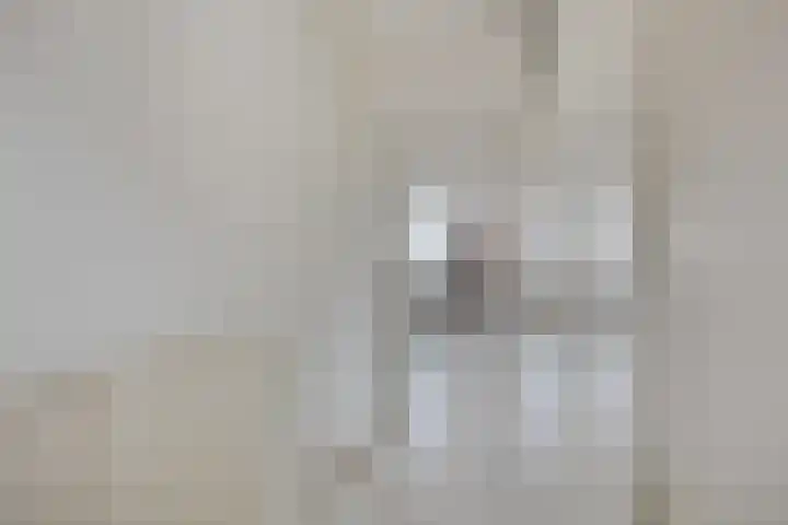 Sweelincklaan 55 Rhoon thumbnail 8