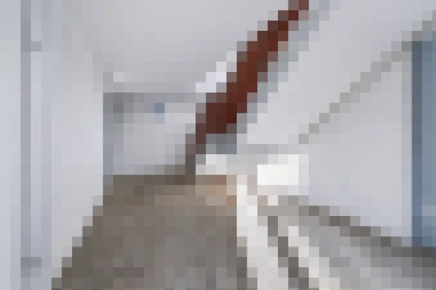 Sweelincklaan 55 Rhoon thumbnail 9