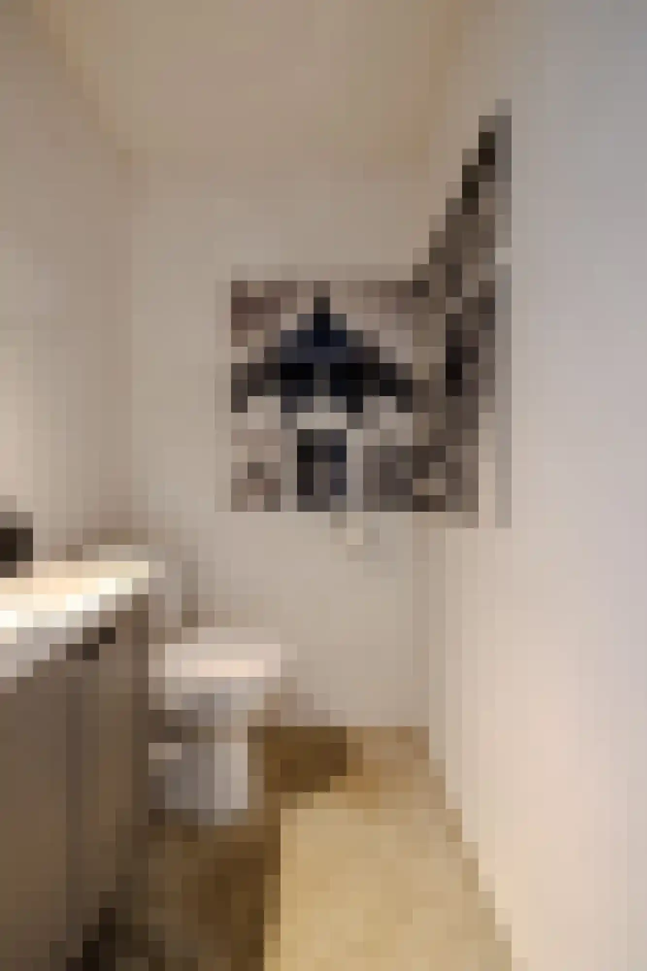 Sweelincklaan 6 Ede thumbnail 19