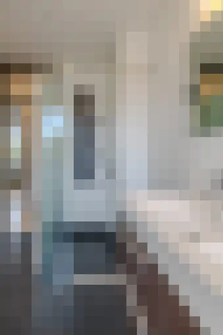 Sweelincklaan 6 Ede thumbnail 24