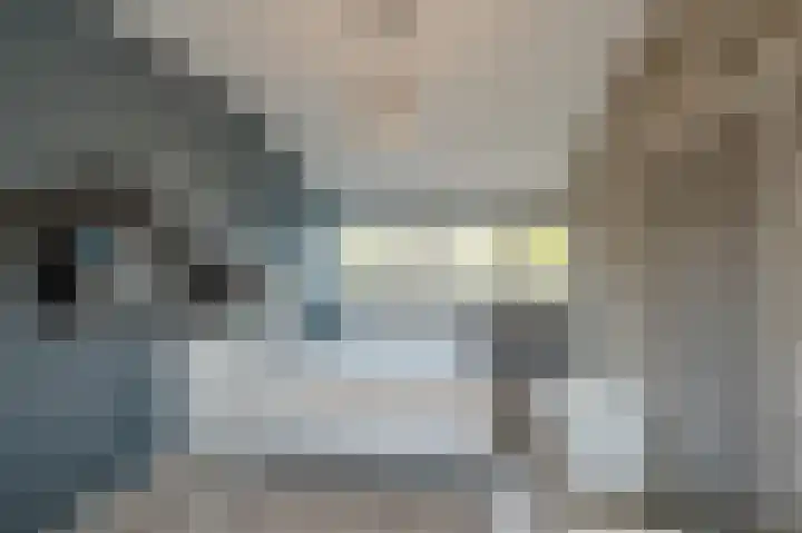 Sweelincklaan 6 Ede thumbnail 27