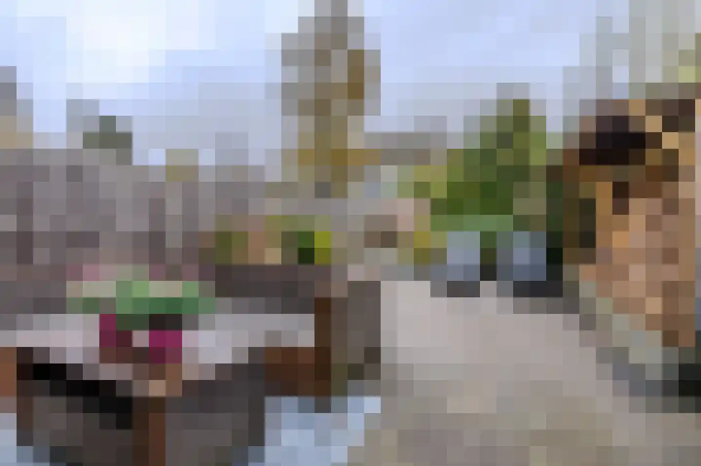 Sweelincklaan 6 Ede thumbnail 33