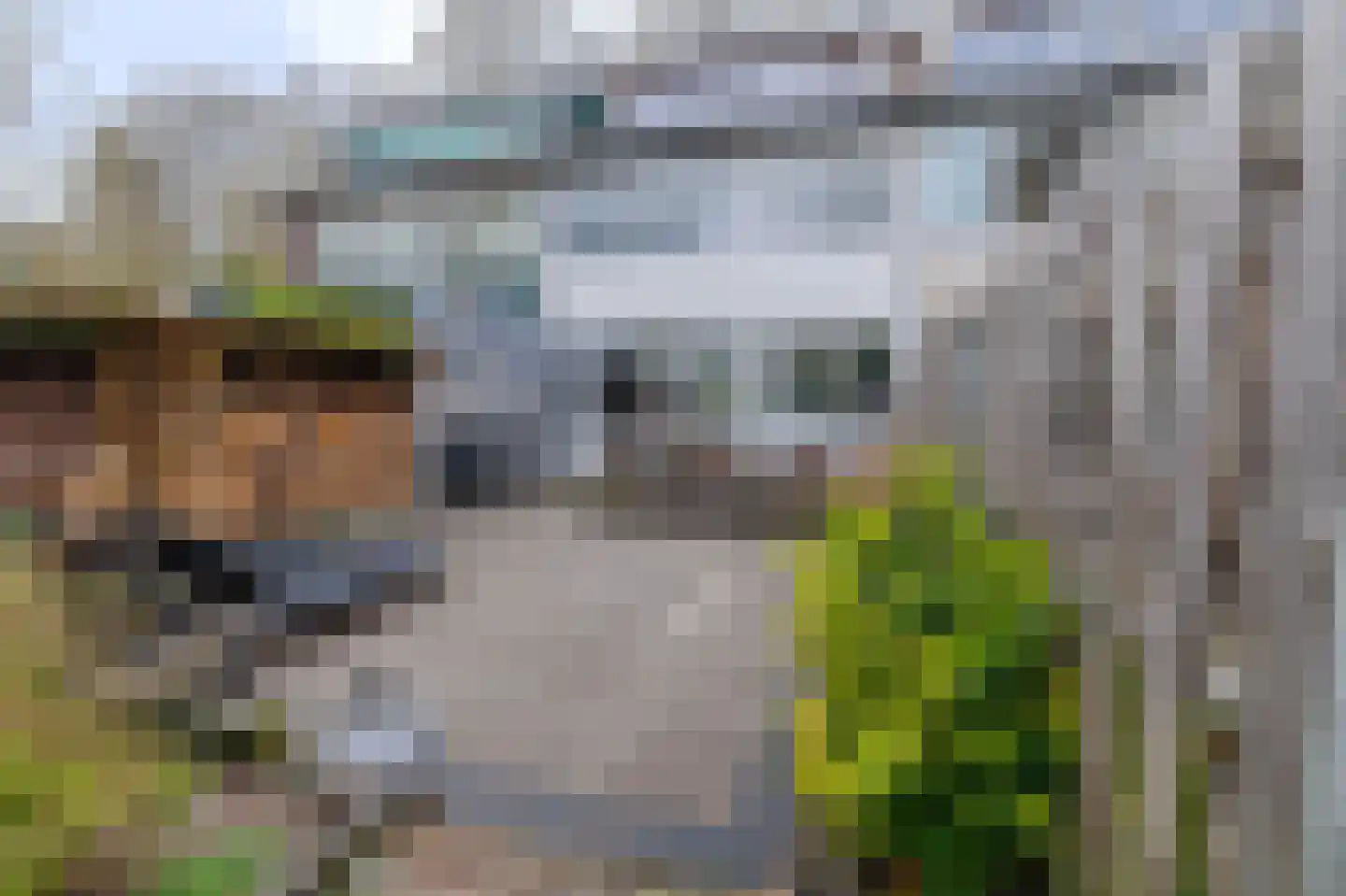 Sweelincklaan 6 Ede thumbnail 35