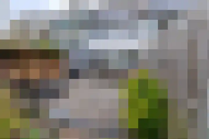 Sweelincklaan 6 Ede thumbnail 35