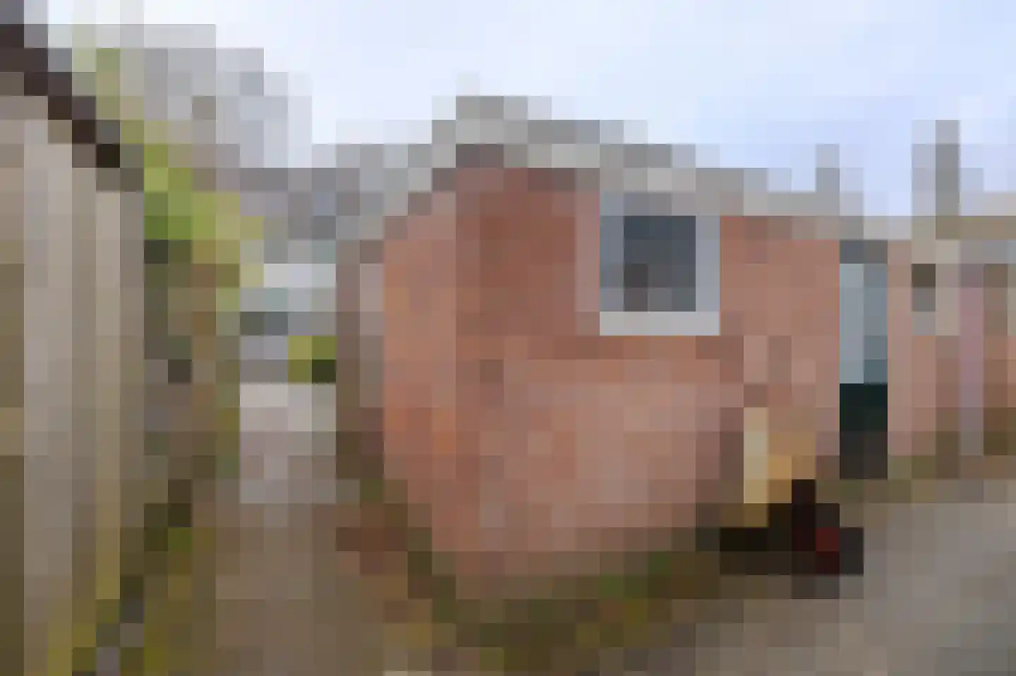 Sweelincklaan 6 Ede thumbnail 38