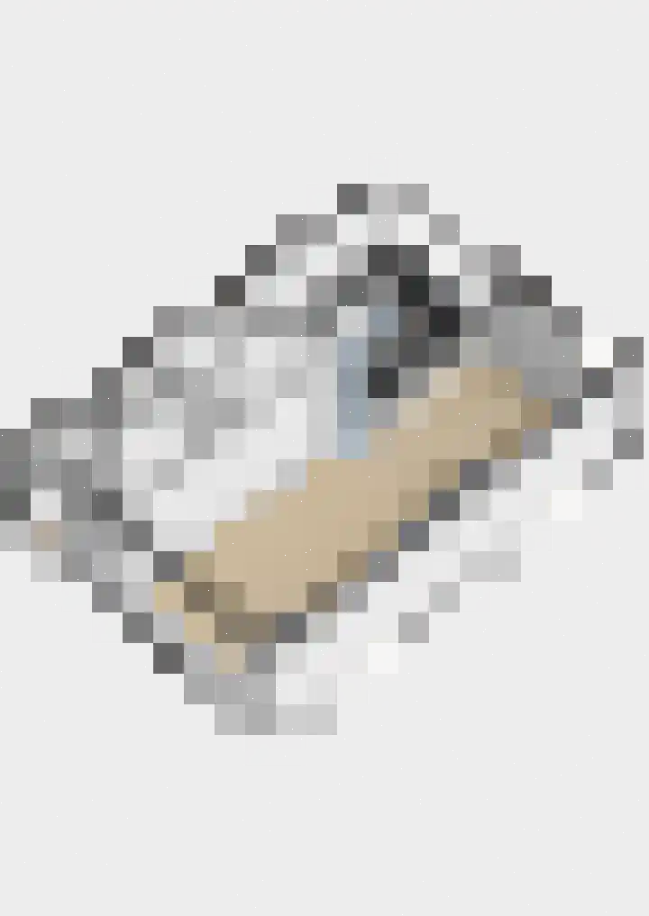 Sweelincklaan 6 Ede thumbnail 42