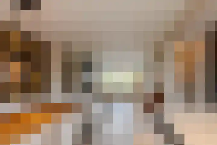Sweelincklaan 6 Ede thumbnail 8
