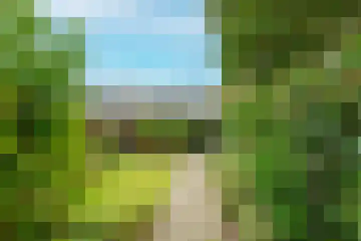 Sweelincklaan 61 's-Gravenzande thumbnail 12
