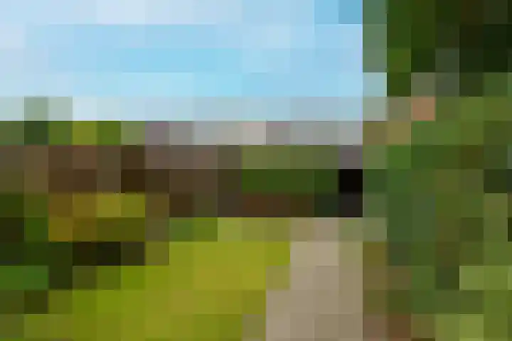 Sweelincklaan 61 's-Gravenzande thumbnail 13