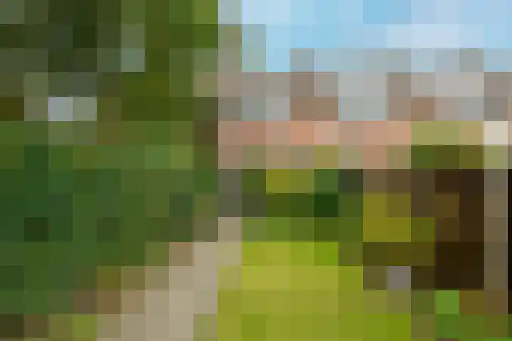 Sweelincklaan 61 's-Gravenzande thumbnail 14